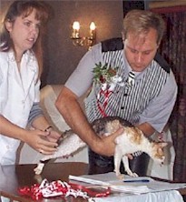 COTY 2.jpg (19907 bytes)
