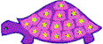 Tortois2.gif (3129 bytes)
