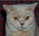 neuter10a.jpg (6281 bytes)