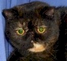 neuter20a.jpg (6900 bytes)