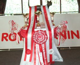 trophy.jpg (20710 bytes)